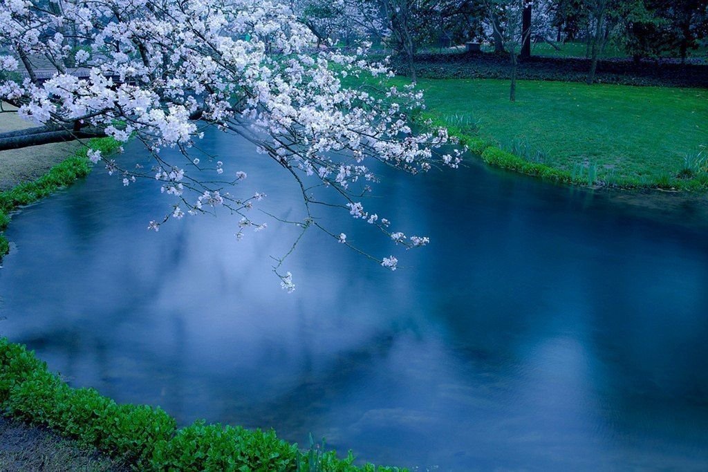 Умиротворенный Китай