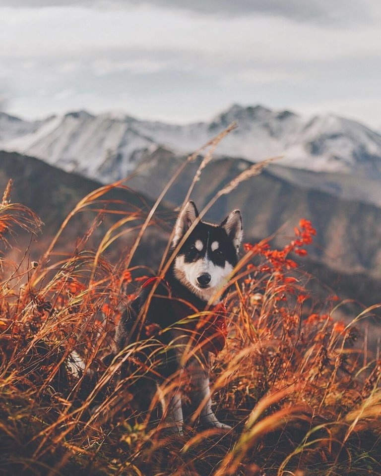 Суровая красота Камчатки
