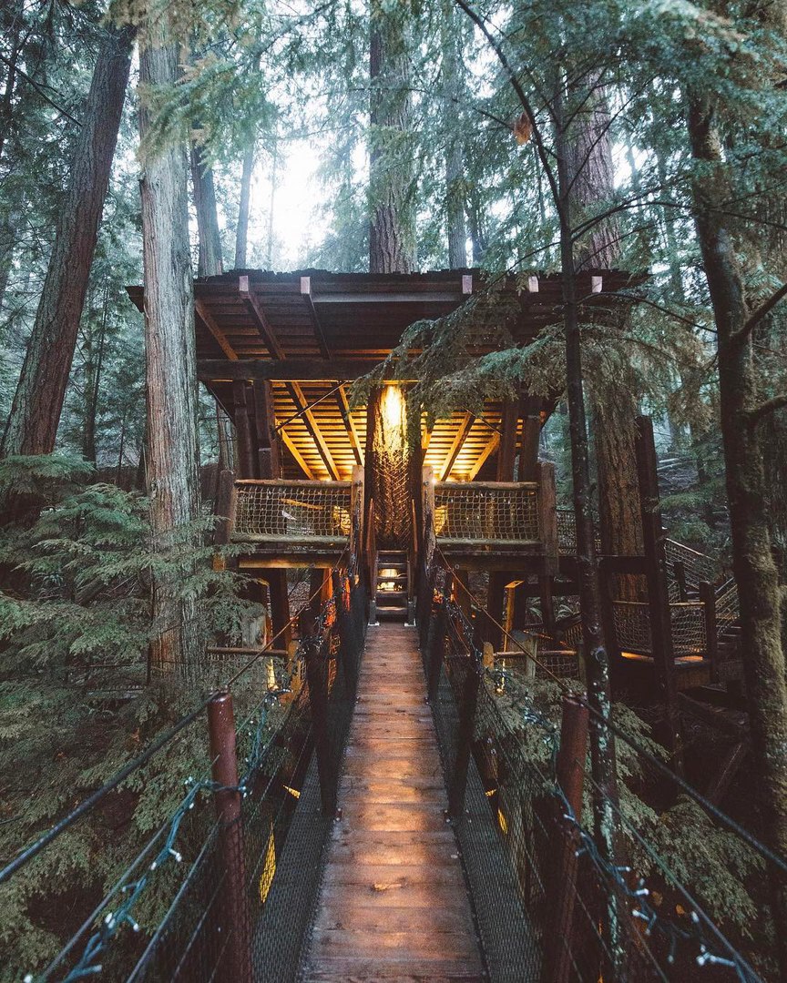 То, чего требует душа.