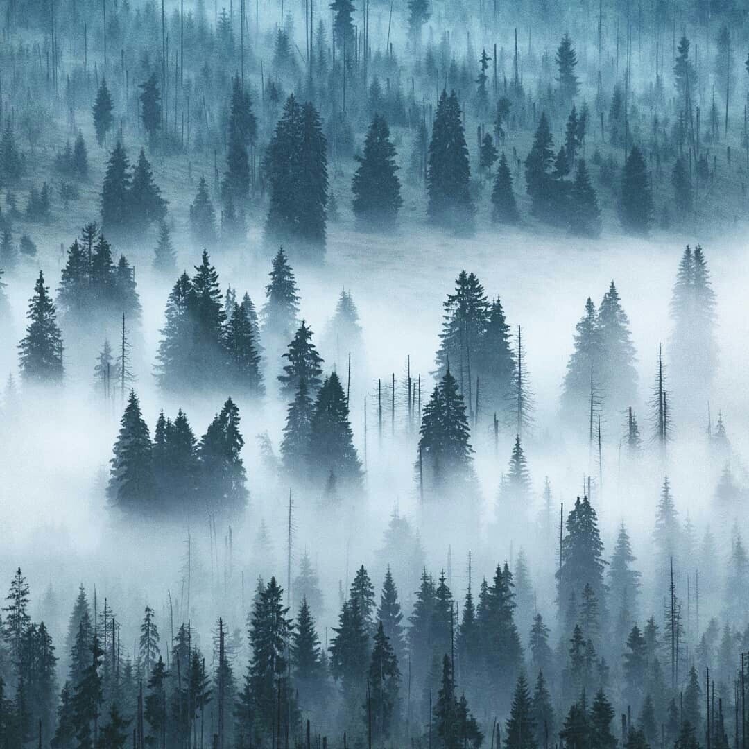 Жизнь — это бесконечное повторение. То, что мы недопоняли в первый раз, происходит с нами снова. Чуть-чуть по-другому. Если мы по-прежнему не понимаем, событие возвращается до тех пор, пока мы не усвоим урок окончательно.
Бернар Вербер - 4