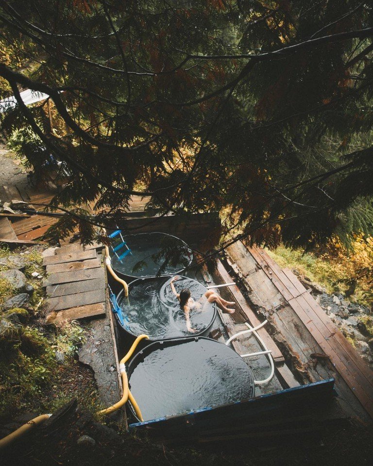 Иногда нужно просто взять и махнуть на денек в лес - 9