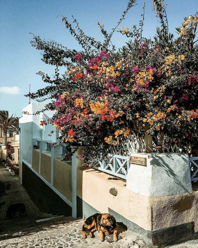 Солнечный Санторини, Греция