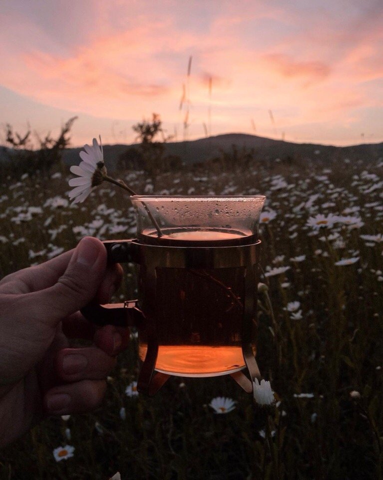 Летние пейзажи Крыма - 8