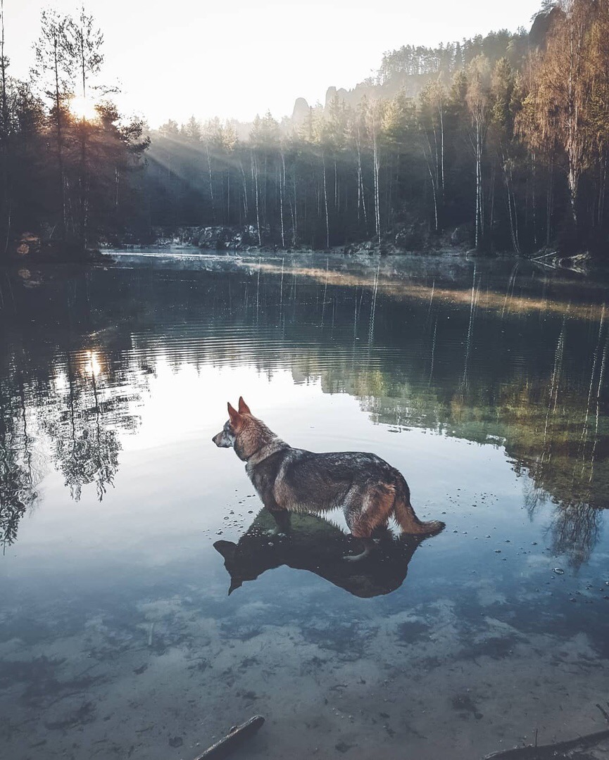 Невыносимо хочется счастья.