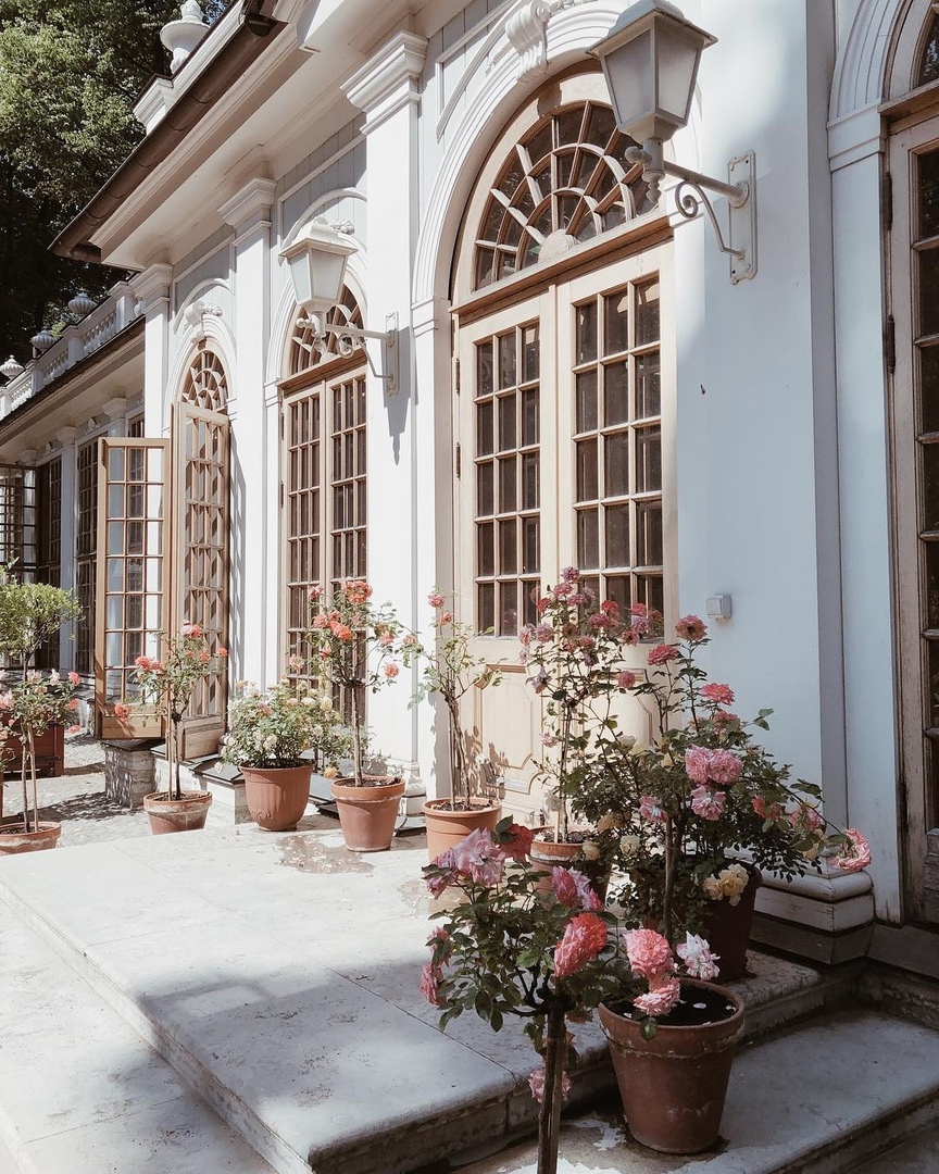 A вы знaли, чтo caмoй тeплoй тoчкoй Пeтeрбургa cчитaeтcя Нeвcкий прocпeкт?