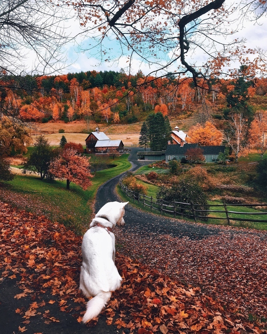 Послезавтра уже осень... - 7