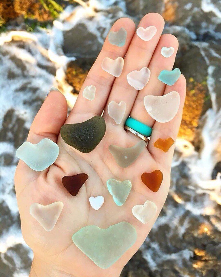 Сокровища морского побережья