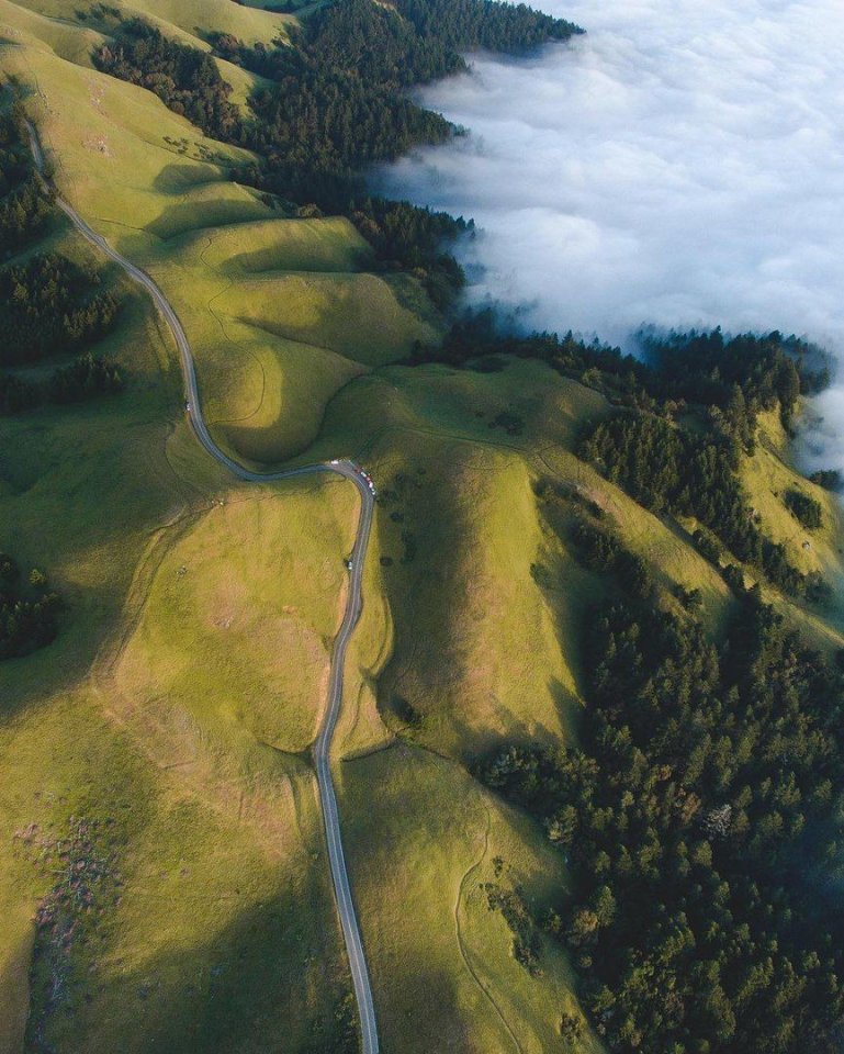 Туманная Калифорния - 5