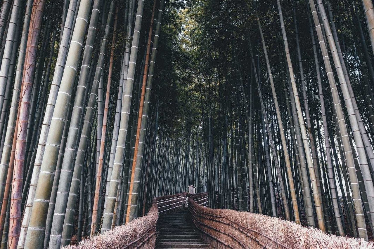 Мистическая Япония - 5