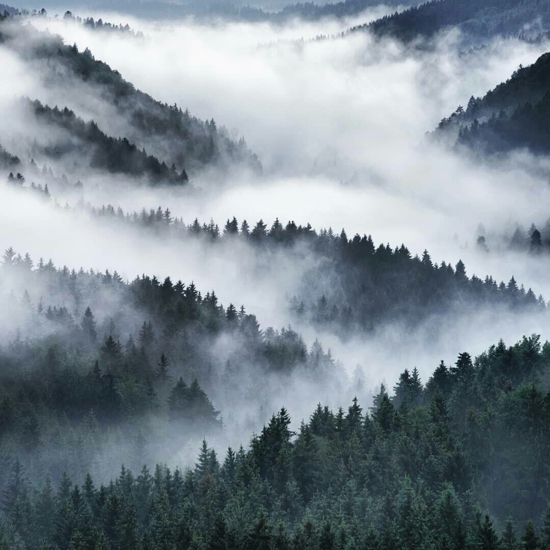 Жизнь — это бесконечное повторение. То, что мы недопоняли в первый раз, происходит с нами снова. Чуть-чуть по-другому. Если мы по-прежнему не понимаем, событие возвращается до тех пор, пока мы не усвоим урок окончательно.
Бернар Вербер - 5