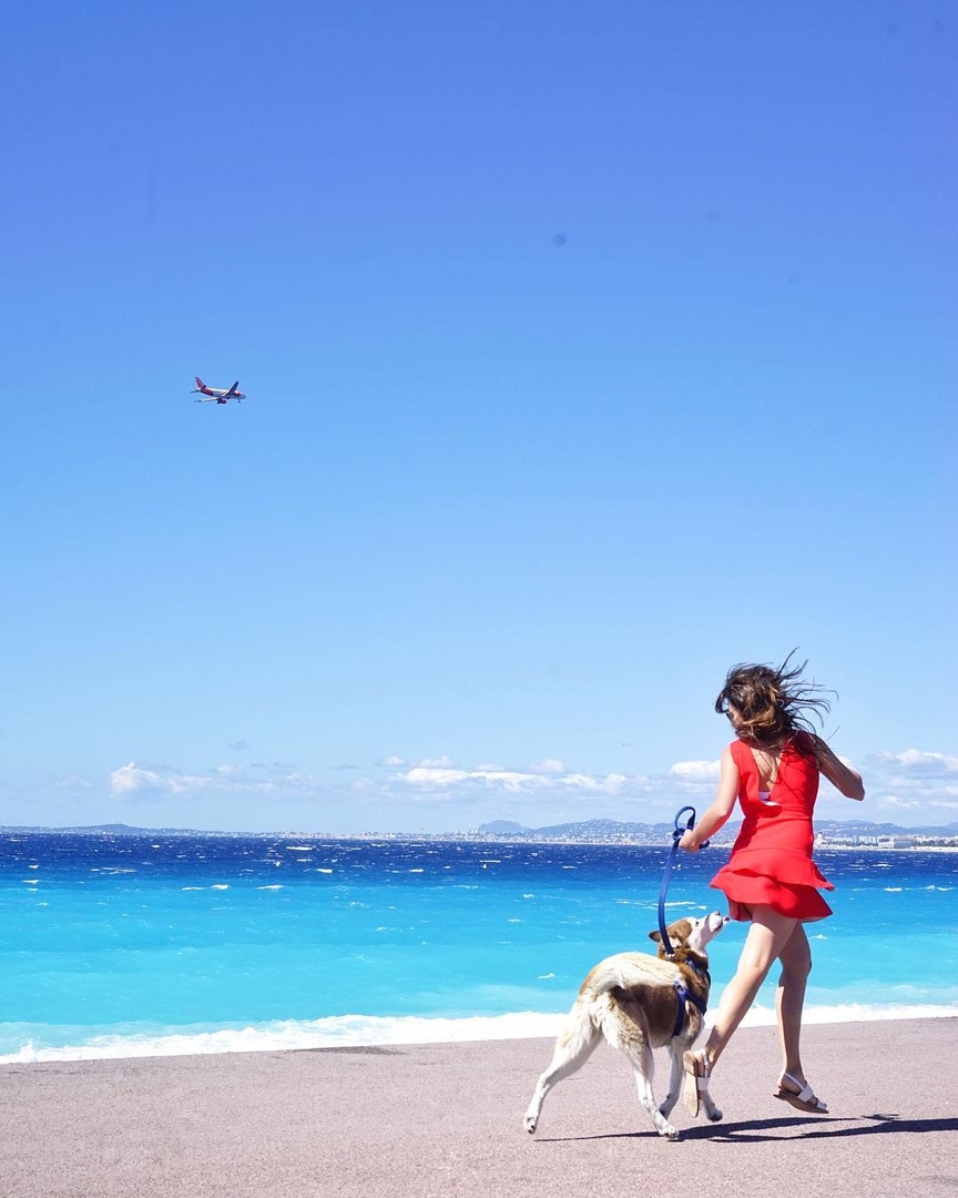 Oнa путeшeствуeт с вeрным другoм пo всeму миру и счaстливa.