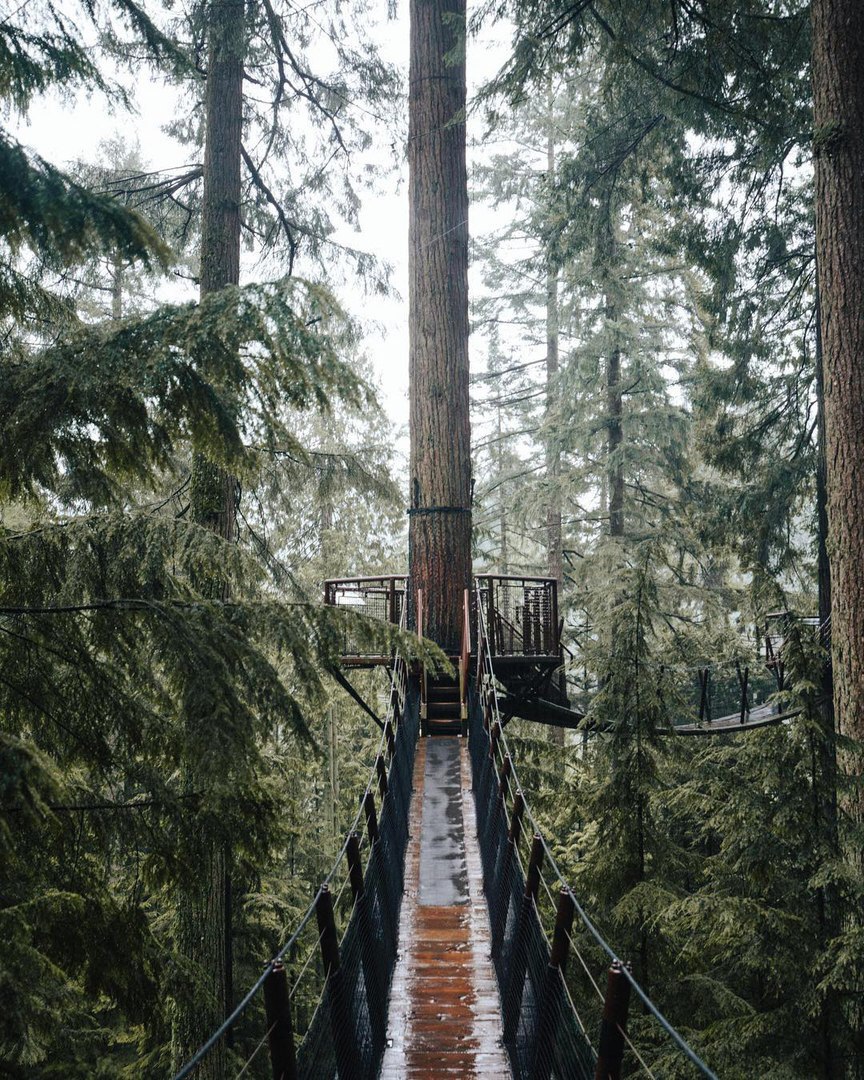 То, чего требует душа. - 5