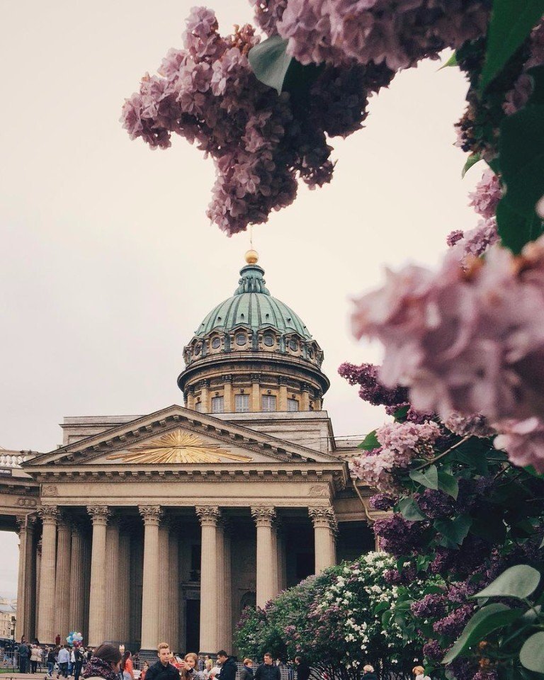 Один билет до Питера, пожалуйста - 5