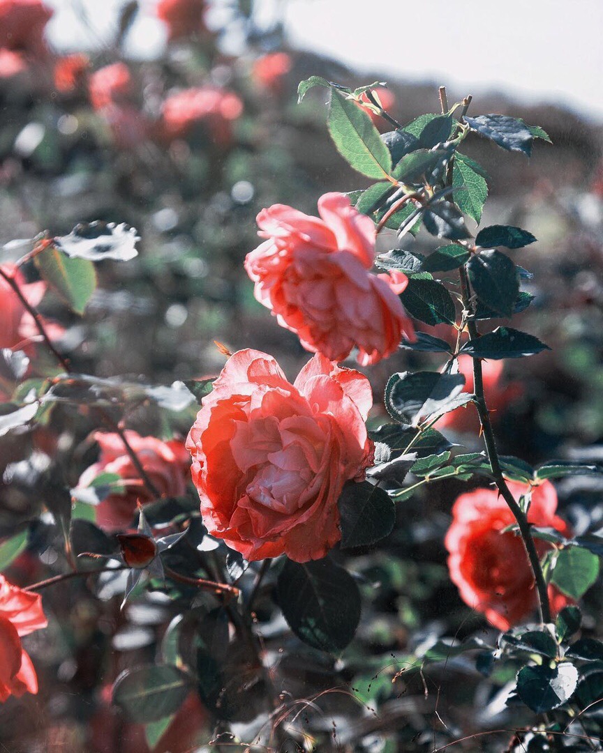 Чтобы жизнь не была серой, не смешивай черное с белым — возьми другие краски. - 5