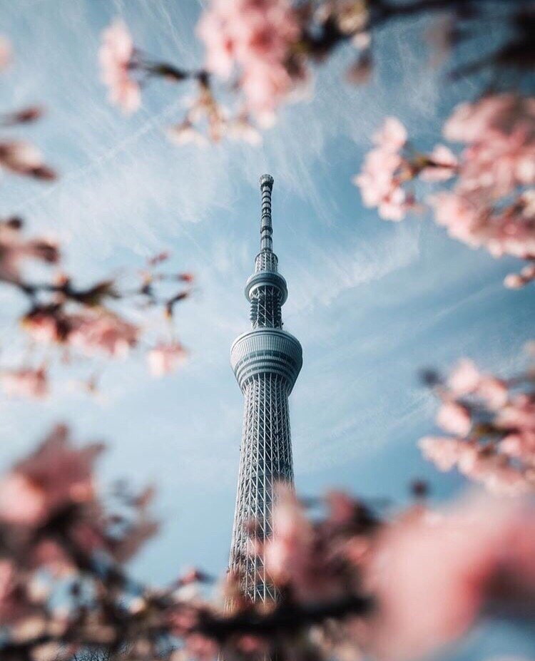 Колоритная Япония - 6