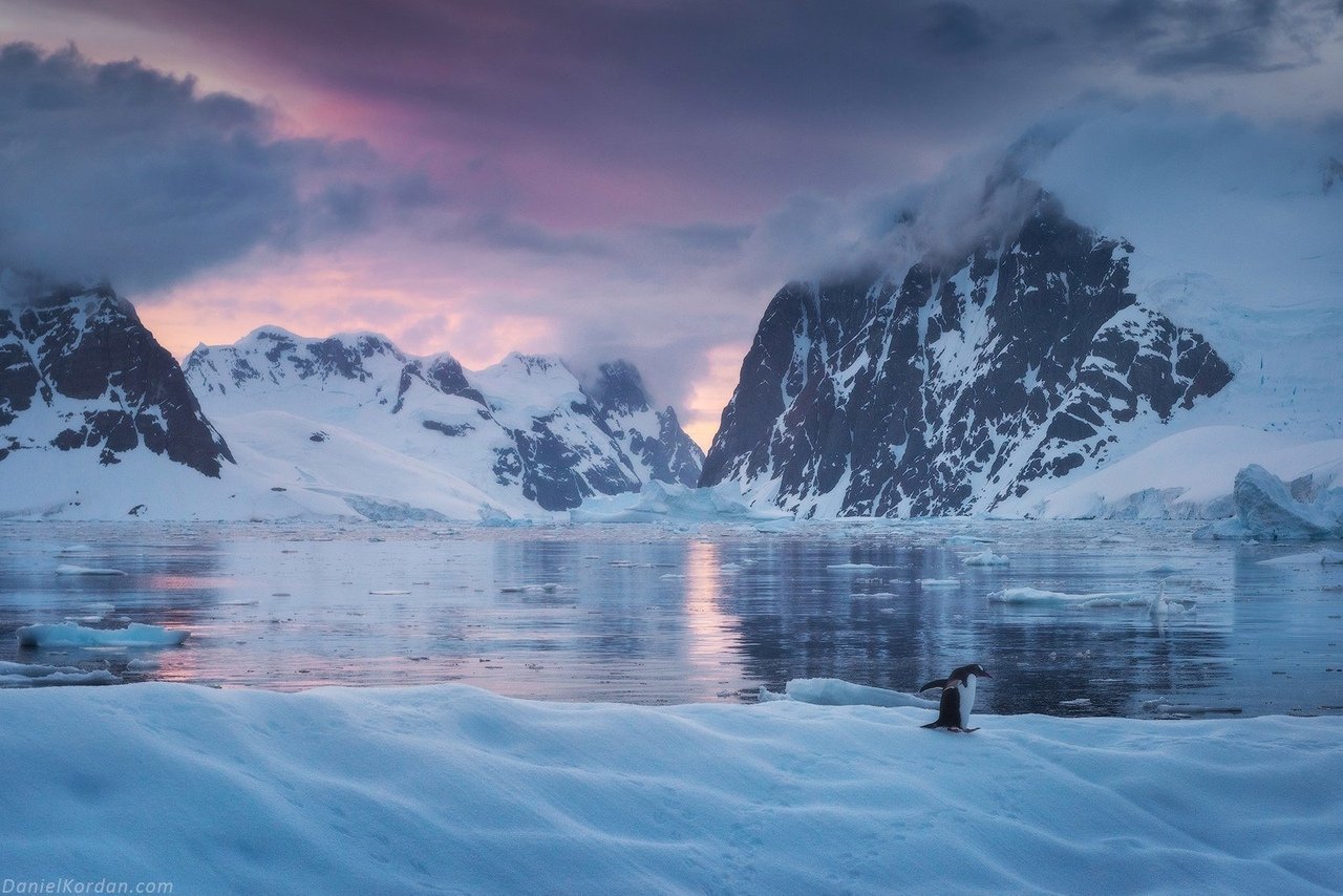 Немного Антарктиды для тех, кому жарко