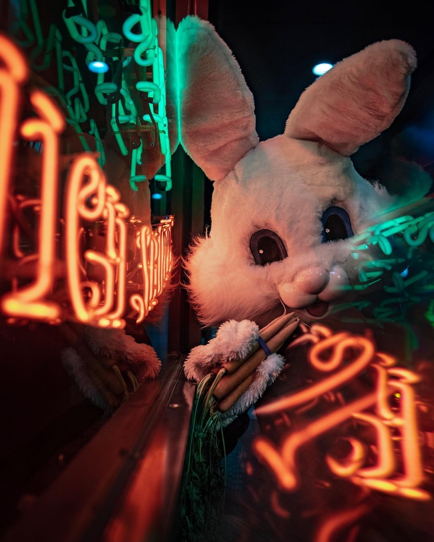 Краски ночных огней