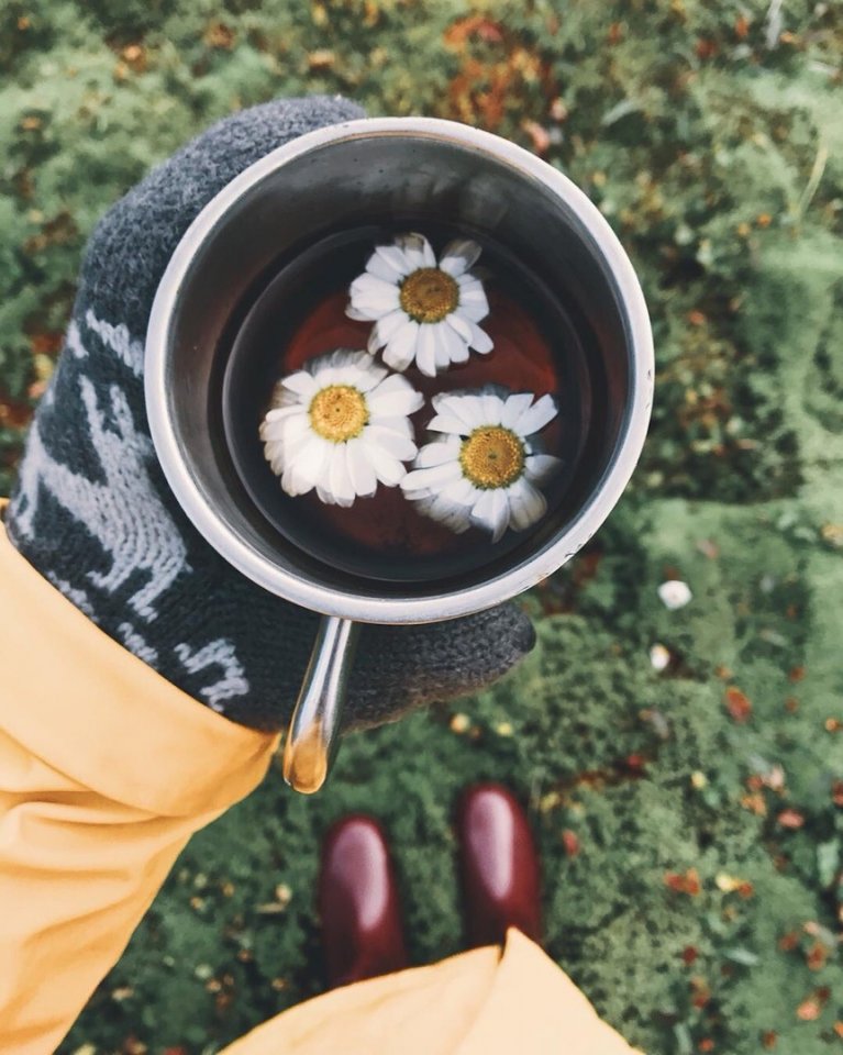 Сибирь - сокровище России - 6