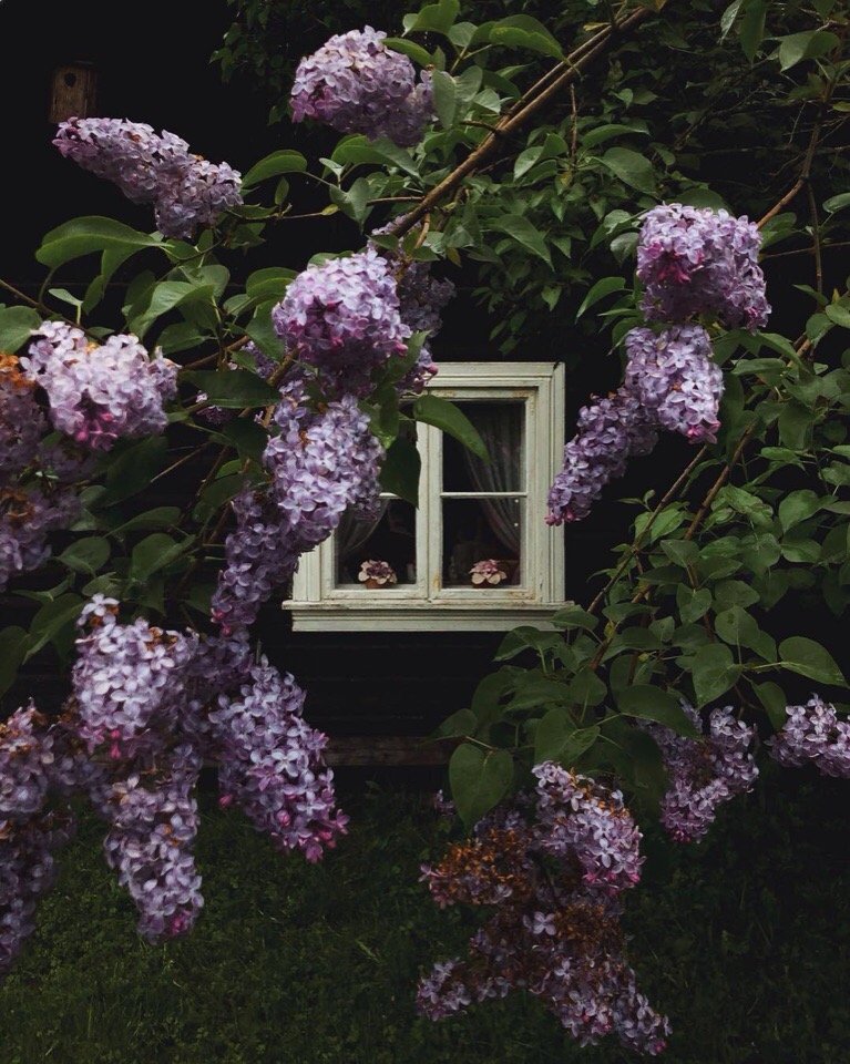 Норвегия - это покой и умиротворение  - 7