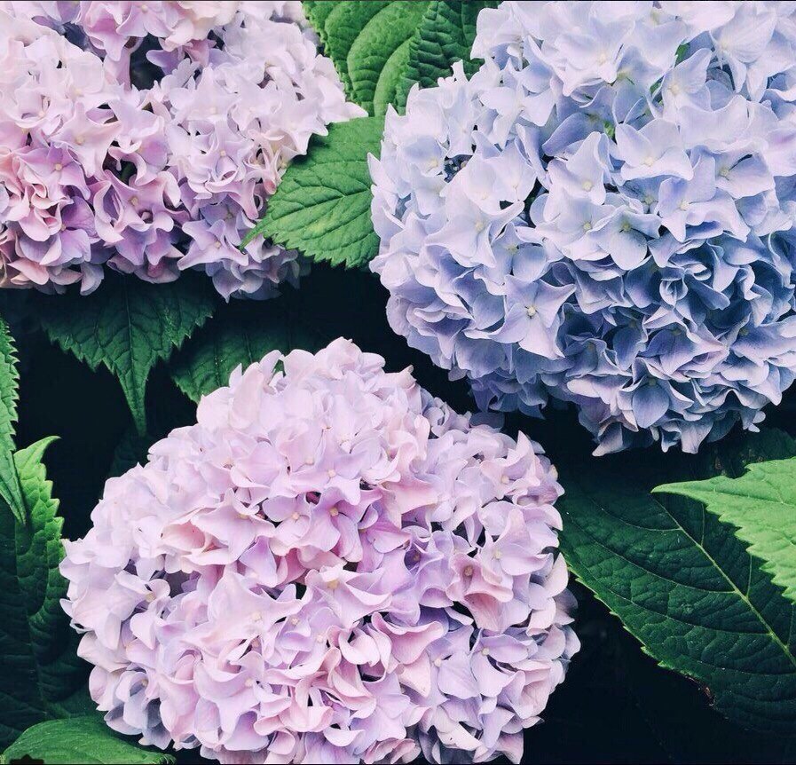 Наполняя свою жизнь радостью, ты оставляешь меньше места для грусти… - 5