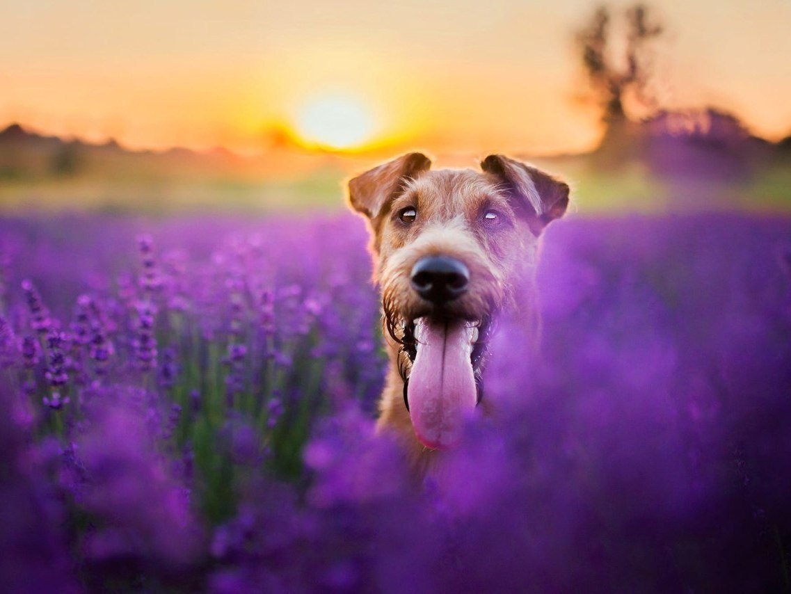 «Будьте реалистами, мечтайте о невозможном» - 7