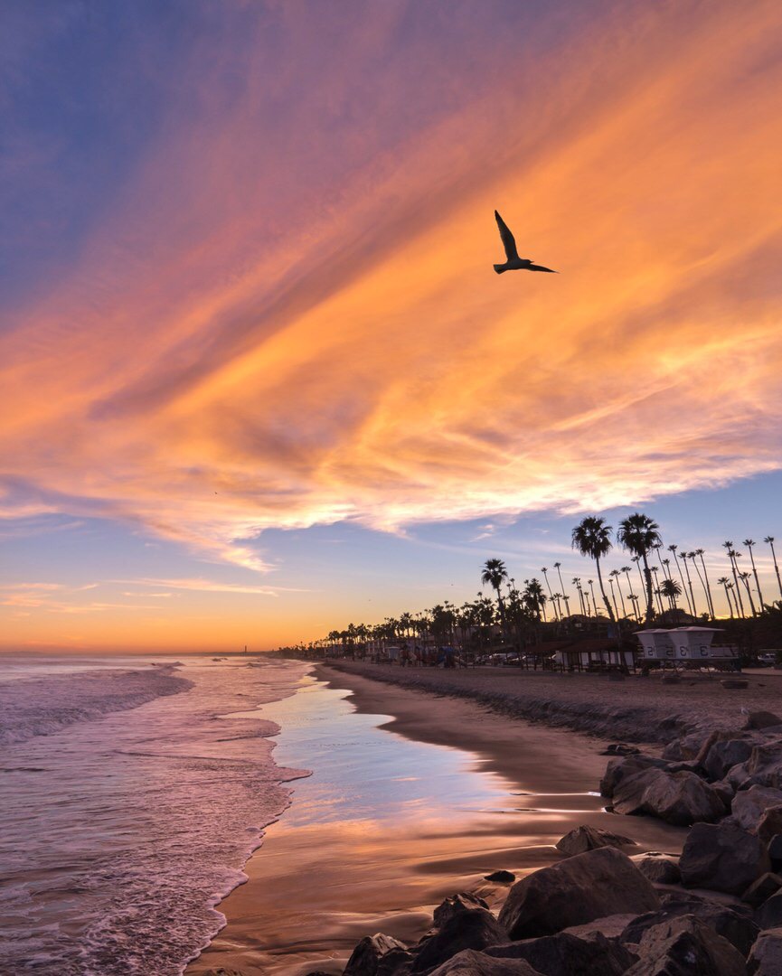 Лето как выходные. Такое же прекрасное, и так же быстро проходит. Июнь – это пятница, июль – суббота, август – воскресенье. 

Марина Цветаева