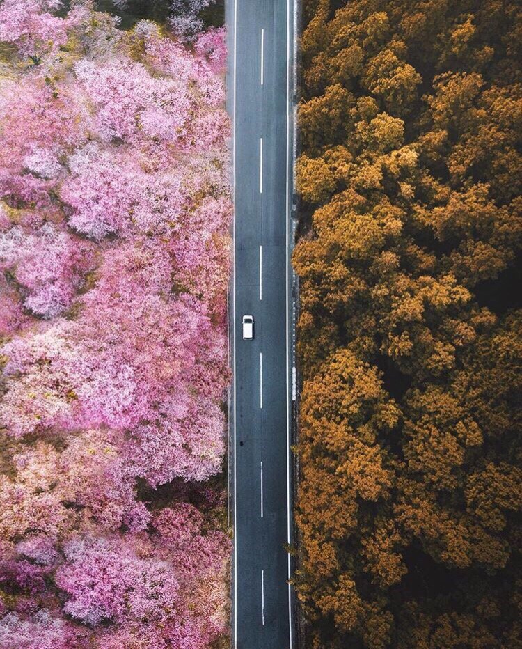 Колоритная Япония - 8