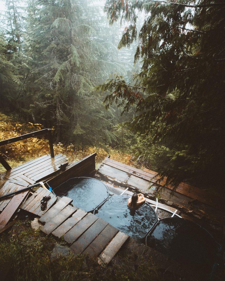 Иногда нужно просто взять и махнуть на денек в лес - 6