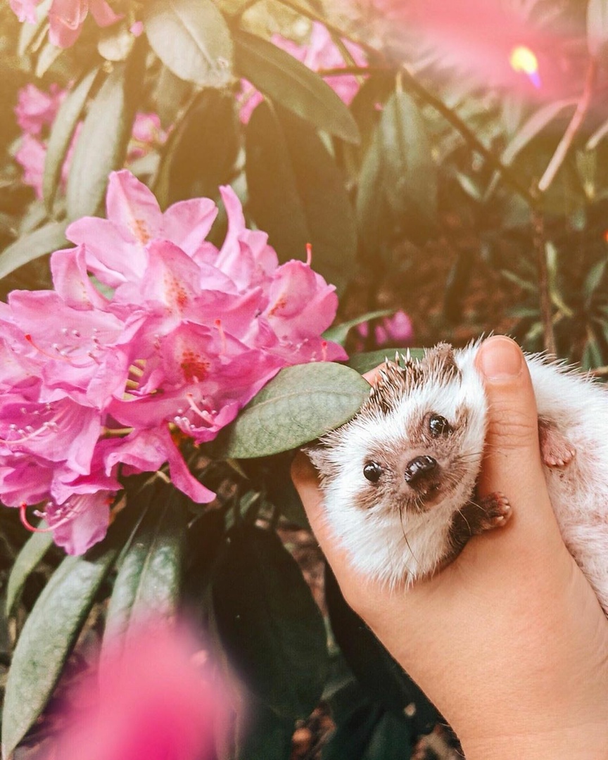 — A чтo тaм зaвтpa? 
— A зaвтрa ужe Aвгуст.