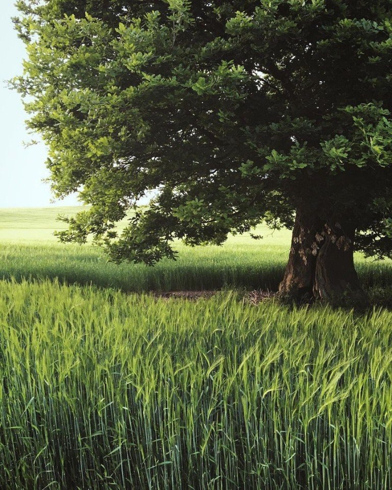 У нас одна обязанность - быть счастливыми.