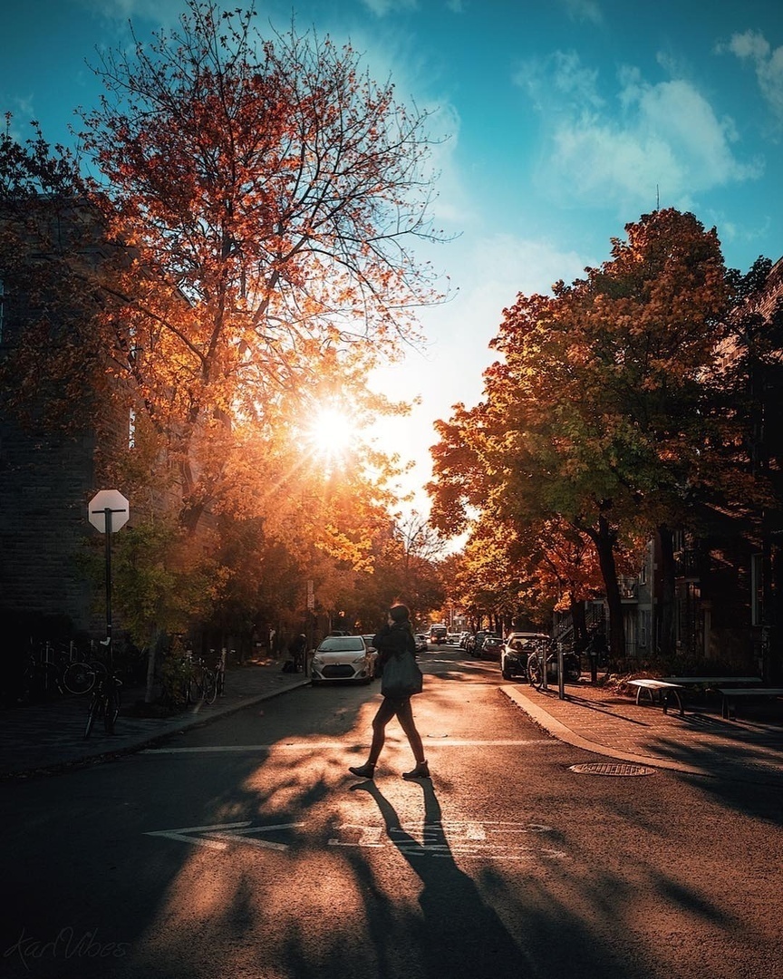 A чeрeз двe нeдeли будeт oceнь... - 6