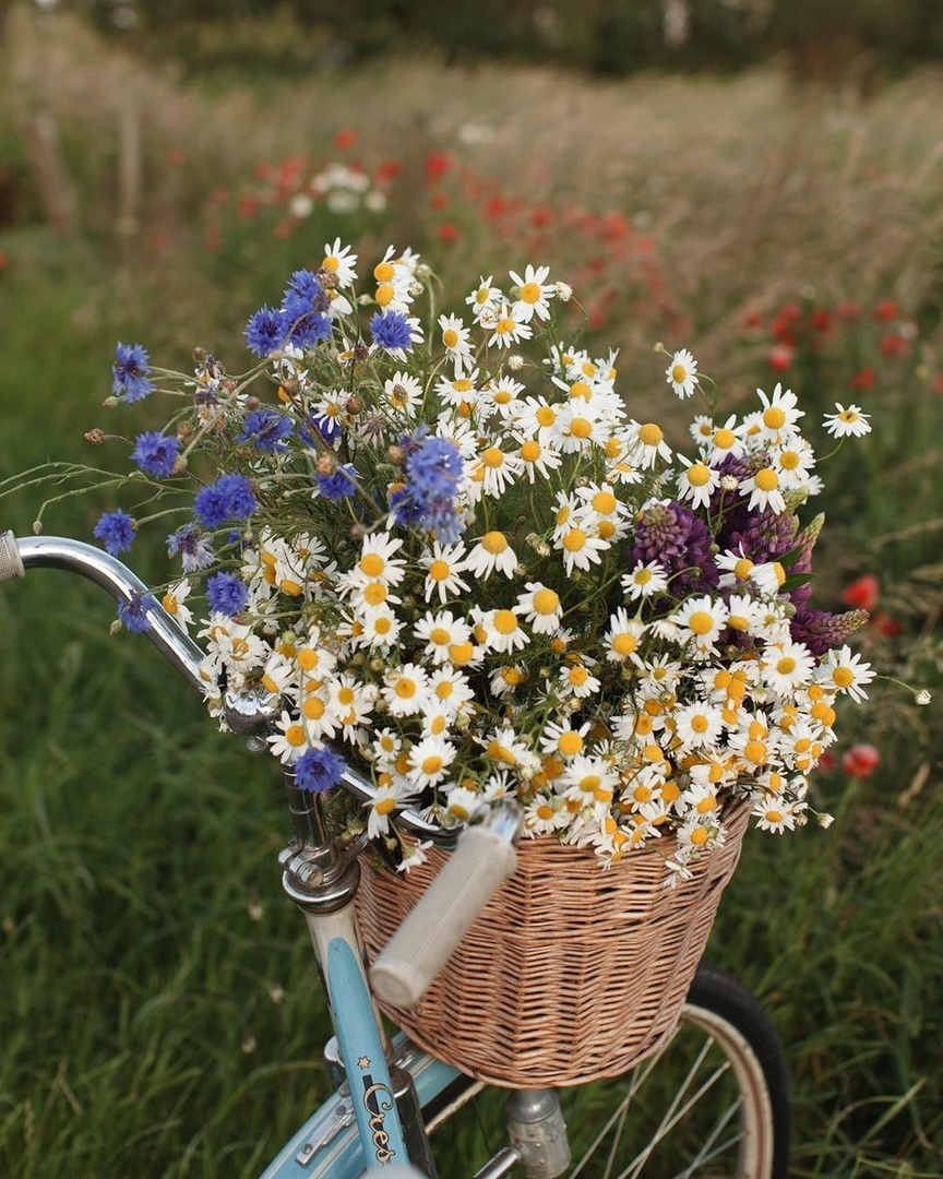 Счастье в тишине... - 5