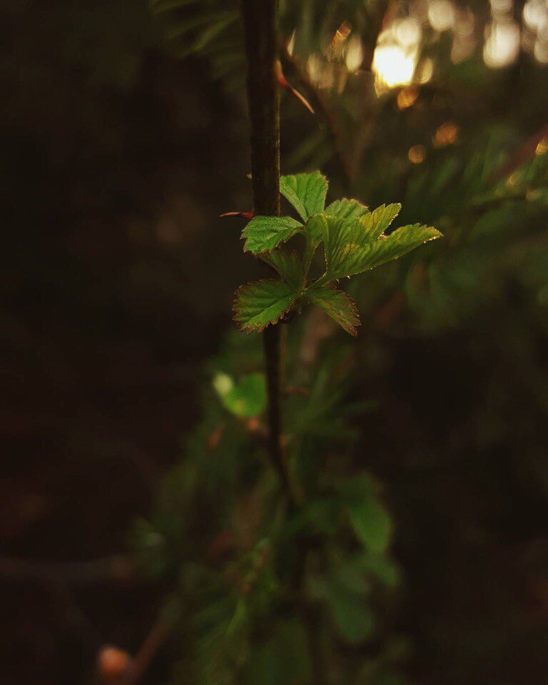 Будьте осторожны со своими желаниями — они имеют свойство сбываться.

Булгаков, "Мастер и Маргарита" - 5