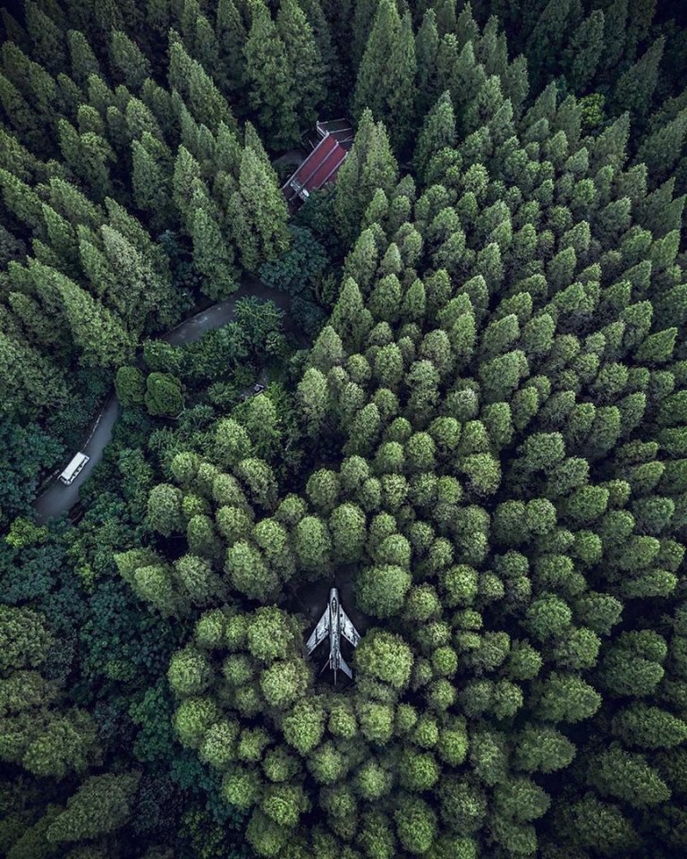 Когда природа берет своё - 6