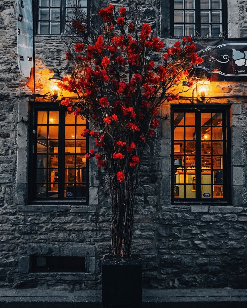 Монреаль, Канада