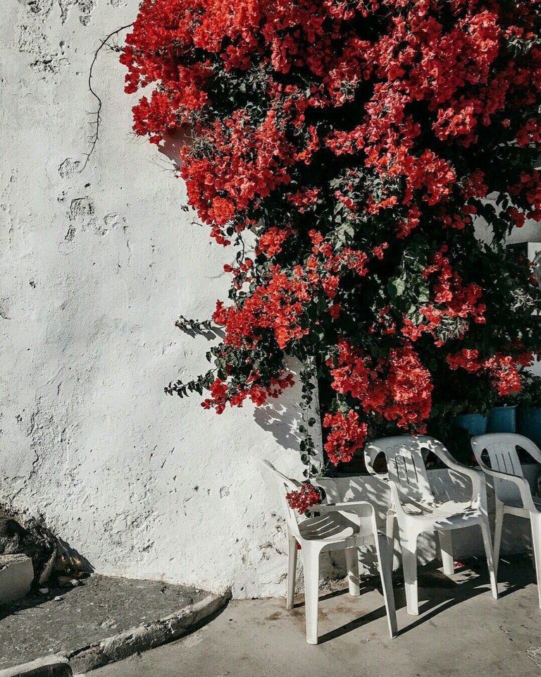 Солнечный Санторини, Греция - 5