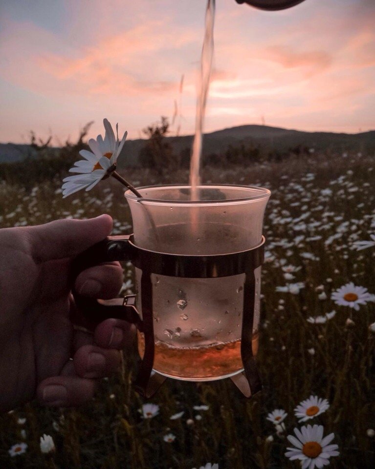 Летние пейзажи Крыма - 7