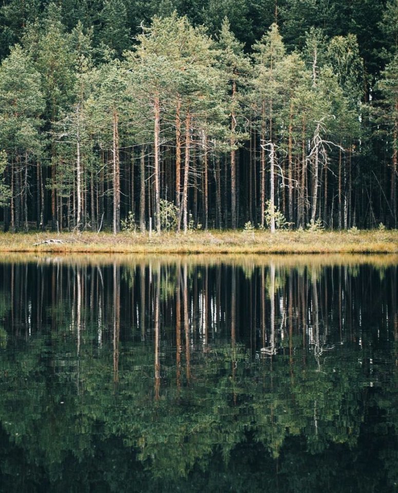 Карелия - это для души... - 5