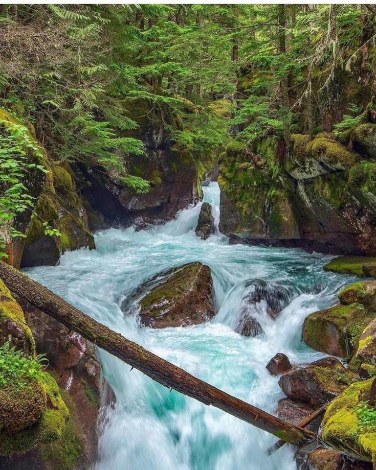 Удивительная природа Монтаны - Национальный парк Глейшер, США - 5