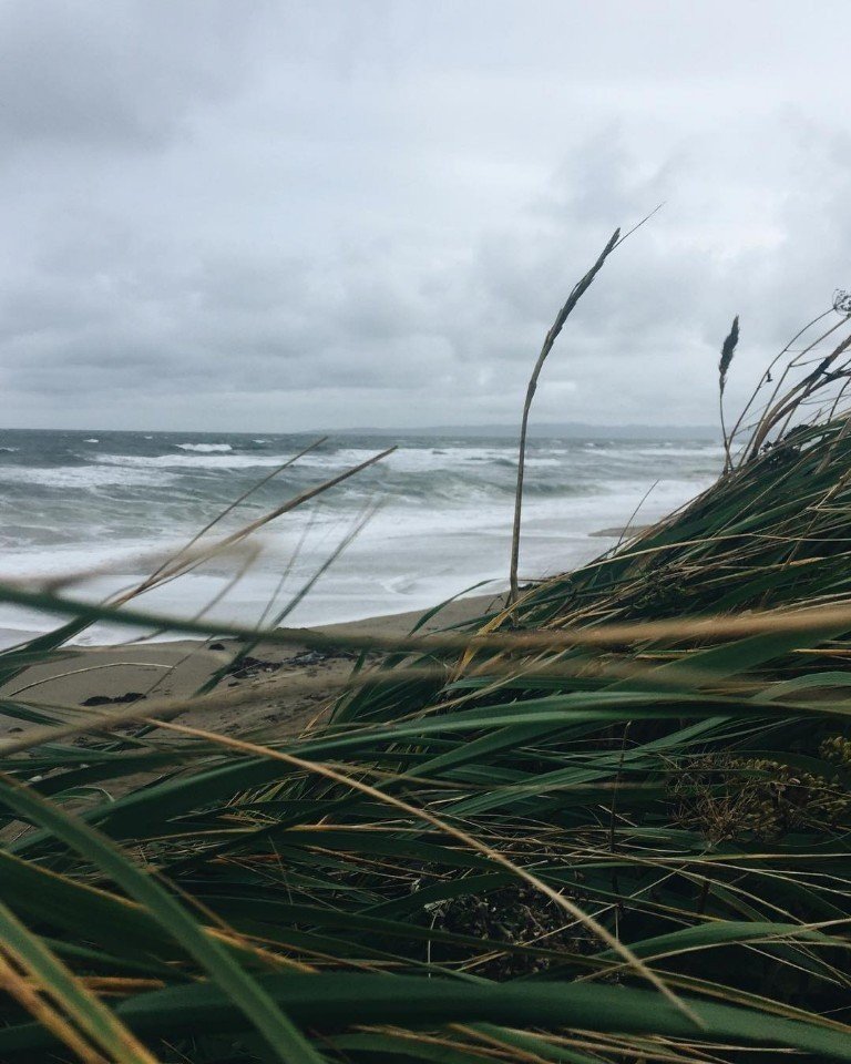 Умиротворенное побережье Сахалина - 5