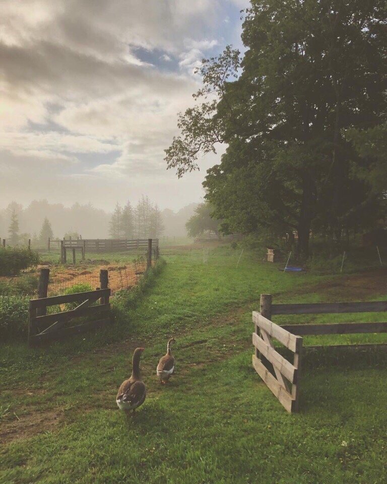 Лето в деревне - лучшее лето - 5