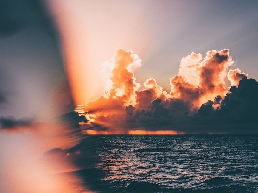 Пусть этот август будет пахнуть счастьем. - 8