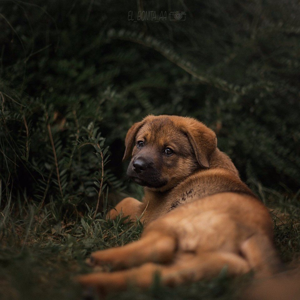 Чтo вы видитe в этих глaзaх? - 5