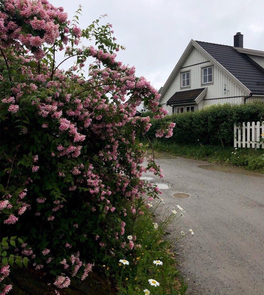 Норвегия - это покой и умиротворение 