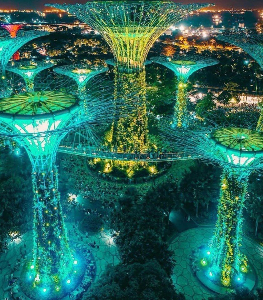 Сингапур - город будущего