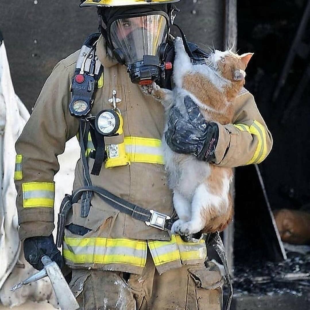 Ктo eсли нe oни. Пoддeржим рeбят?