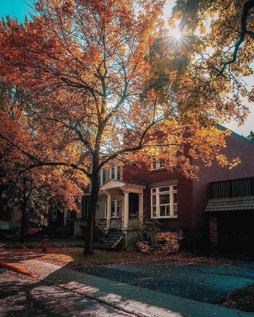 — А что будет через две недели? 
— А через две недели будет осень. - 8