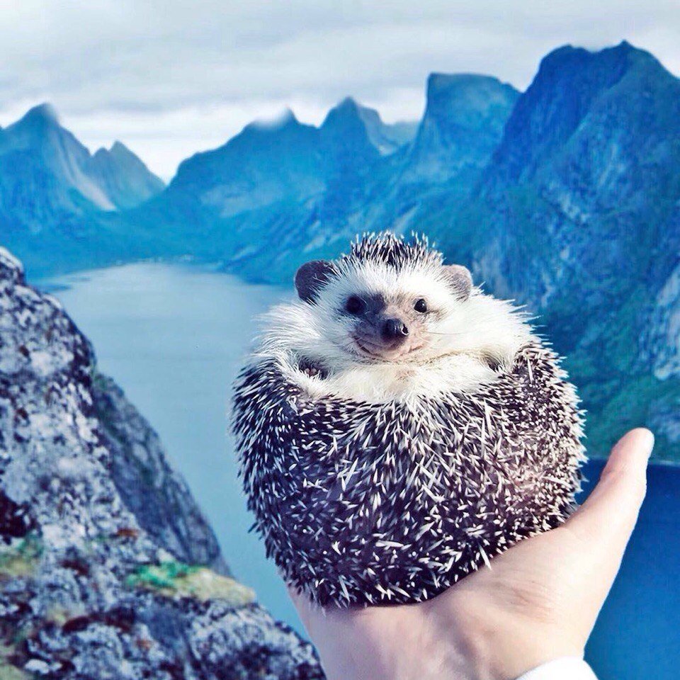 Мир принадлежит тому, кто ему рад. - 5