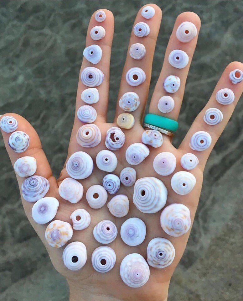 Морские сокровища