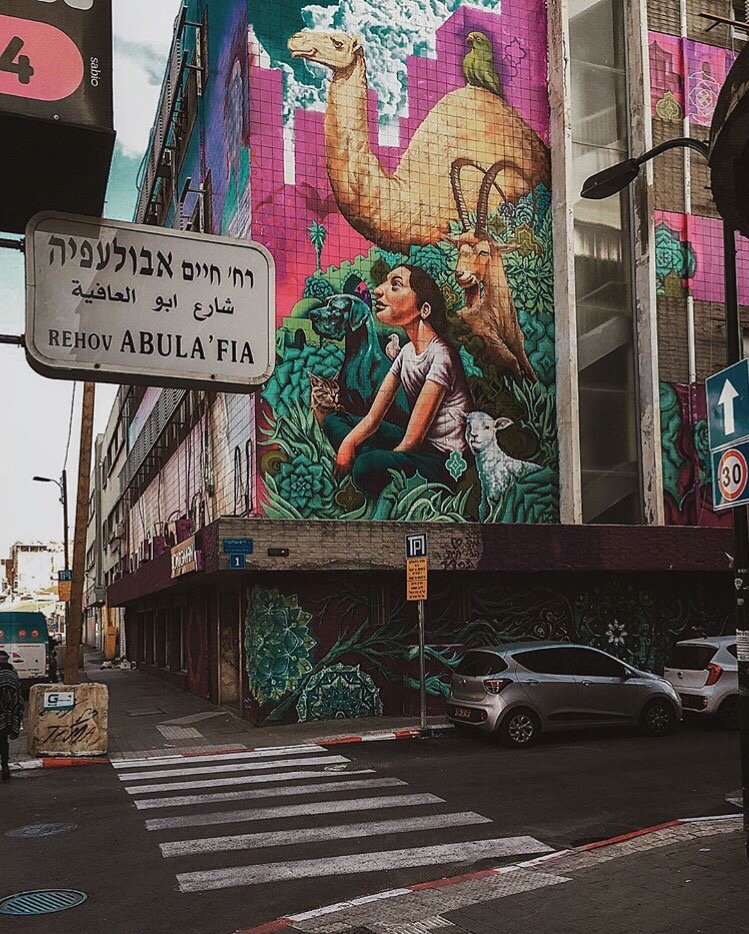 Жизнь в Израиле